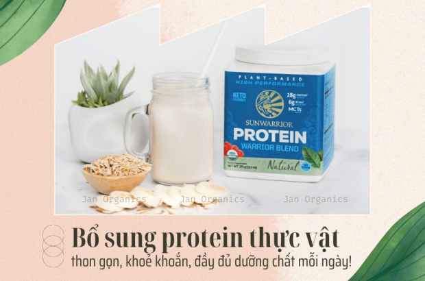 bot-protein-thuc-vat-la-gi