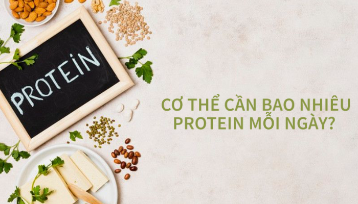 co-the-can-bao-nhieu-protein-moi-ngay