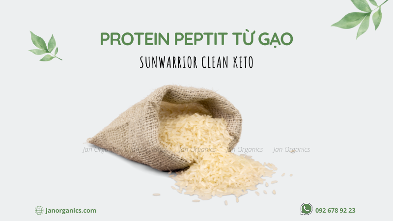 protein peptit từ gạo