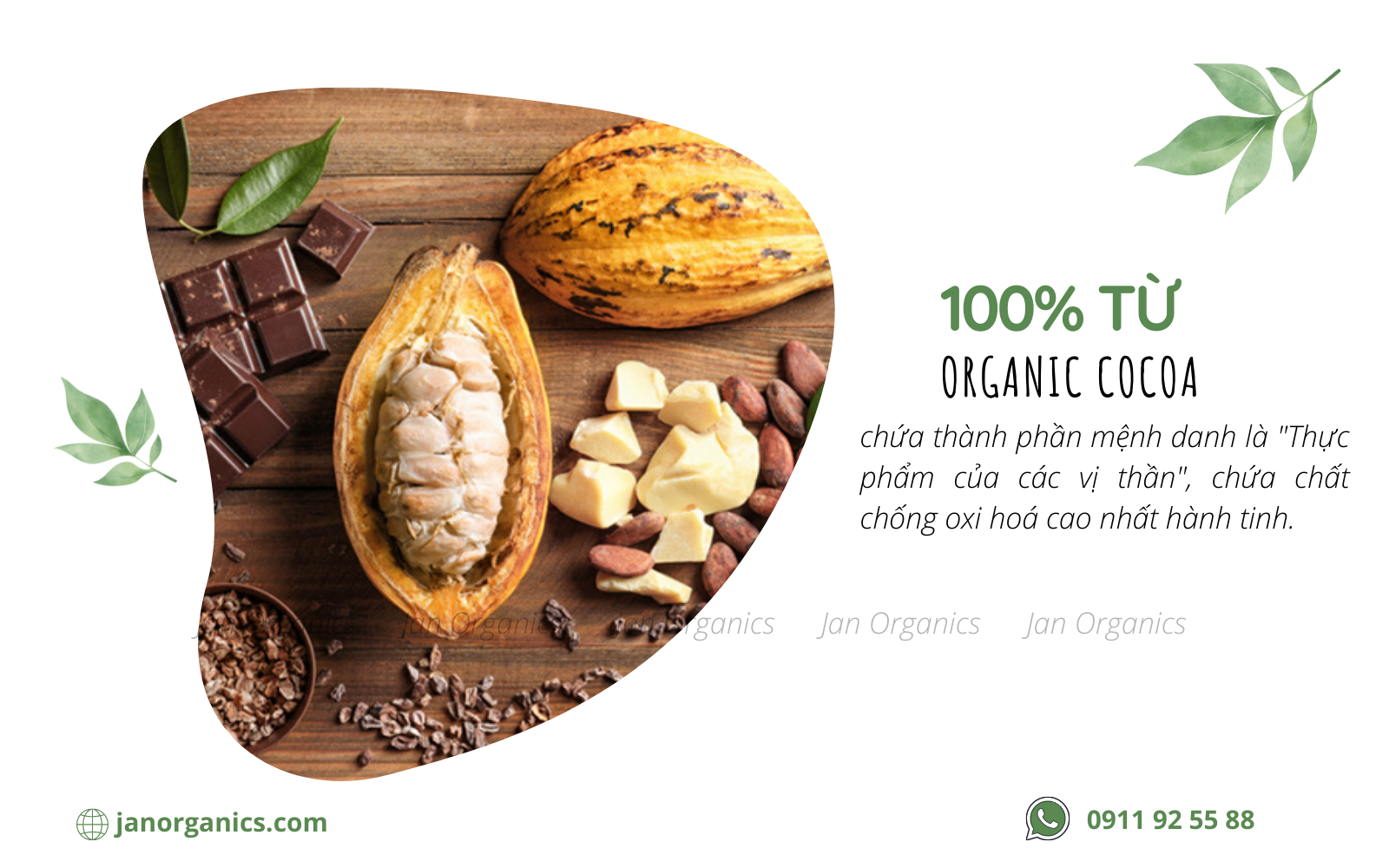 sunwarrior-organic-cocoa-2