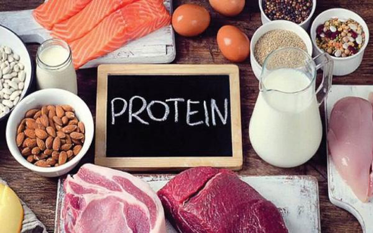 thức ăn giàu protein